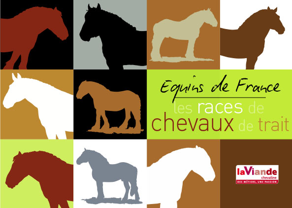 Equins de France, les races de chevaux de trait