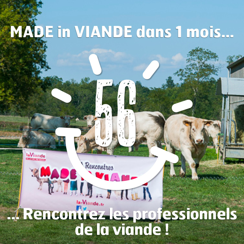 Rencontres made in viande