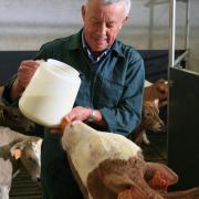 L'alimentation des veaux