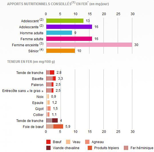 Apports nutritionnels journaliers en fer