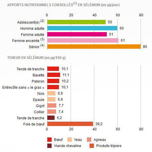 Apports nutritionnels journaliers en sélénium
