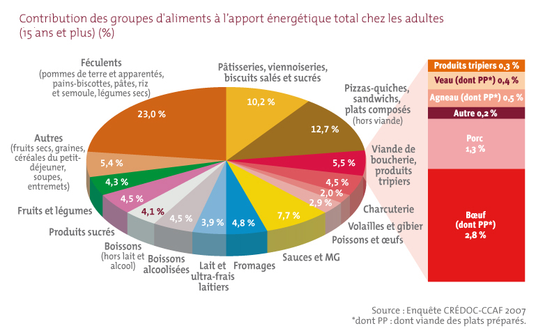 La contribution des groupes d’aliments à l'apport énergétique total chez les adultes