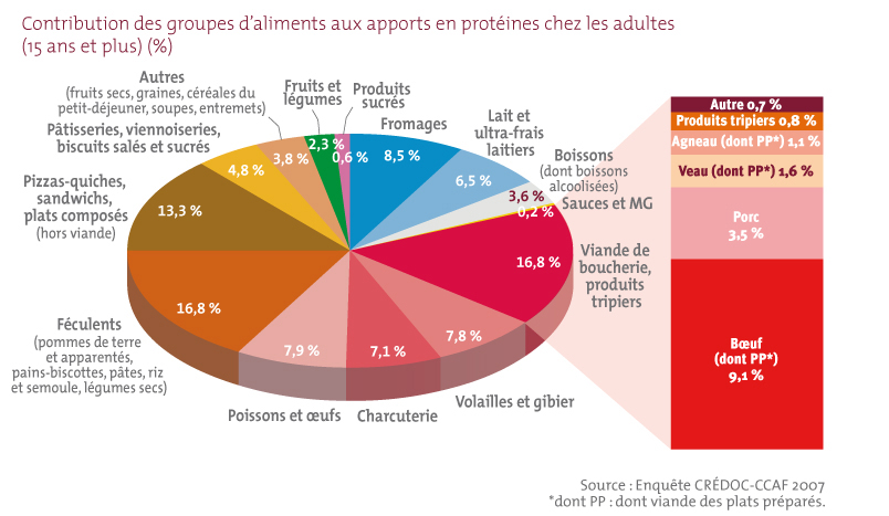 La contribution des groupes d’aliments aux apports en proteines chez les adultes