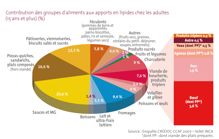 La contribution des groupes d’aliments aux apports en lipides chez les adultes