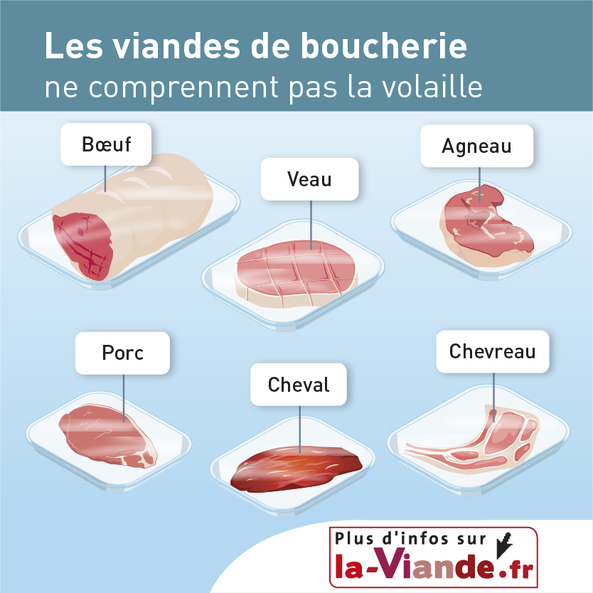 Définitions des viandes Nutrition et santé Laviande.fr Définitions des viandes Nutrition et santé Laviande.fr