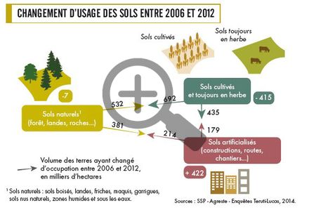Changement d'usage des sols entre 2006 et 2012
