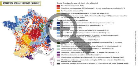 Répartition des races bovines en France