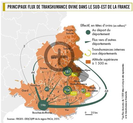 Principaux flux de transhumance ovine dans le sud-est de la France