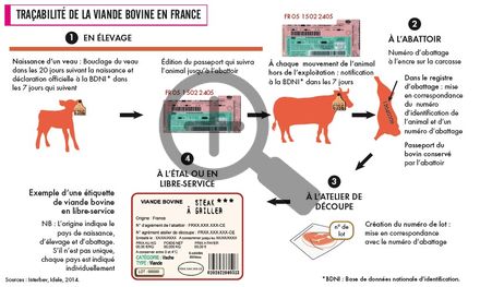 Traçabilité de la viande bovine en France