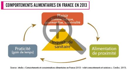 Comportements alimentaires en France en 2013