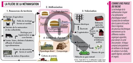 La filière de la méthanisation