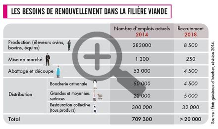 Les besoins de renouvellement dans la filière viande