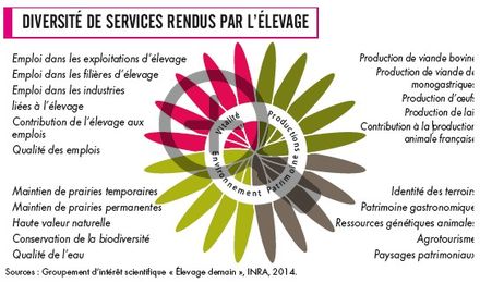 Diversité de services rendus par l'élevage