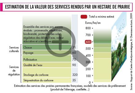 Estimation de la valeur des services rendus par un hectare de prairie