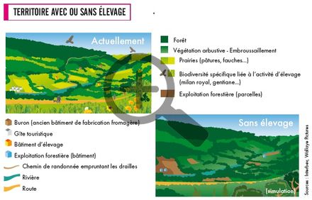 Territoire avec ou sans élevage