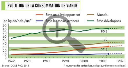 Une consommation de viande mondiale, influencée par les modes de vie