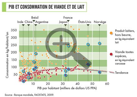 Une consommation de viande mondiale, influencée par les modes de vie