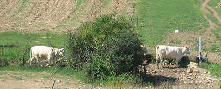 Didier, éleveur en Bourgogne