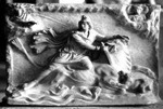Animaux, histoires et légendes du monde Mithra