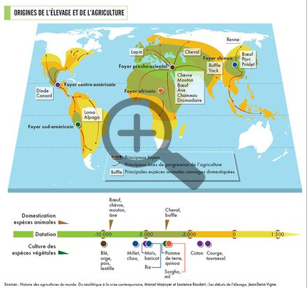 Les origines géographiques de l’élevage 