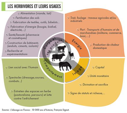 Des élevages pour de multiples usages