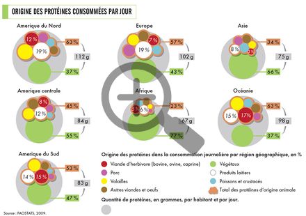 Les apports nutritionnels des produits animaux