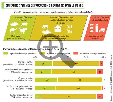 Les différents systèmes de production herbivores 