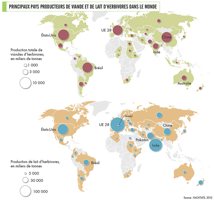 Les grands pays producteurs de lait et viandes d’herbivores