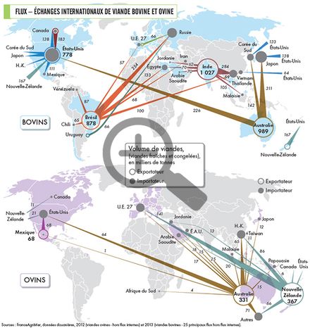 Echanges internationaux de viande bovine et ovine