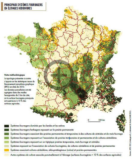 Principaux systèmes fourragers en élevages herbivores