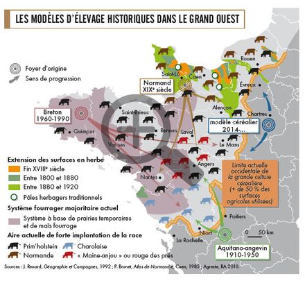 Les modèles d'élevage historiques dans le grand ouest