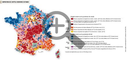 Composition des cheptels herbivores en France