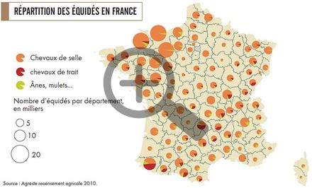 Répartition des équidés en France