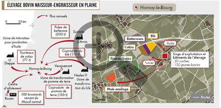 Élevage bovin naisseur-engraisseur en plaine