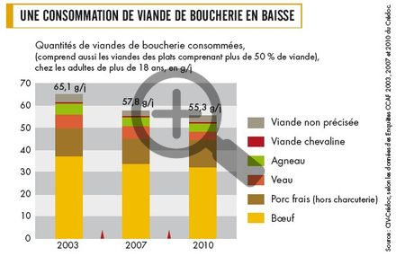 Une consommation de viande de boucherie en baisse