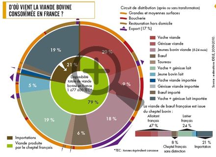 D'où vient la viande bovine consommée en France ?