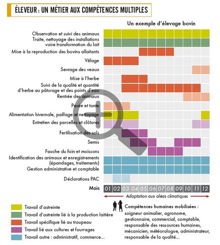 Éleveur : un métier aux compétences multiples