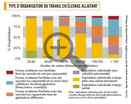 Type d'organisation du travail en élevage allaitant