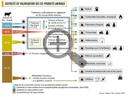 Diversité de valorisation des co-produits animaux