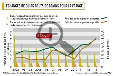 Echanges de cuirs bruts de bovins pour la France