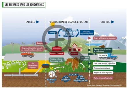 Les élevages dans les écosystèmes