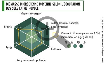 Biomasse microbienne moyenne selon l'occupation des sols en métropole