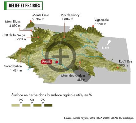 Relief et prairies