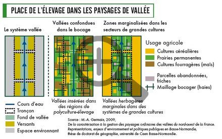 Place de l'élevage dans les paysages de vallée