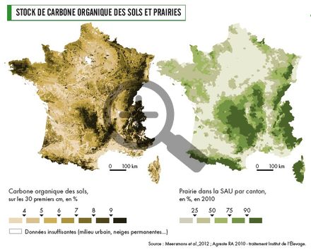 Stock de carbone organique des sols et prairies