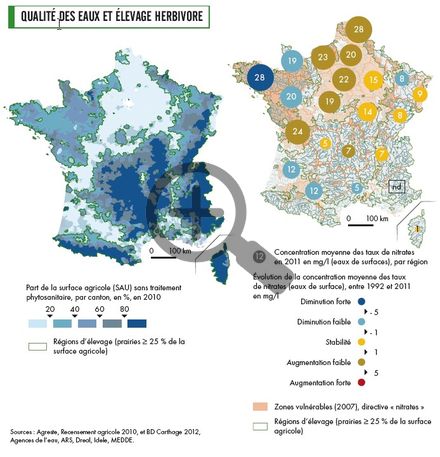 Qualité des eaux et élevage herbivore