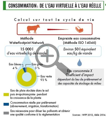 Consommation : de l'eau virtuelle à l'eau réelle