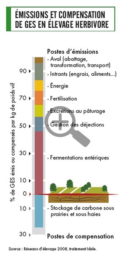 Émissions et compensation de ges en élevage herbivore