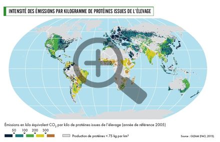 Intensité des émissions par kilogramme de protéines issues de l'élevage