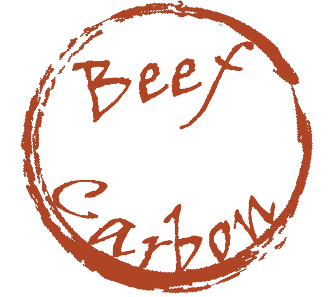 Beef Carbon